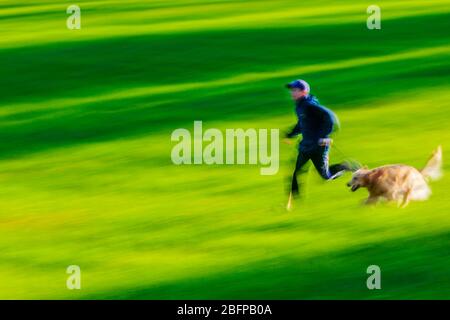 Ragazzo adolescente in esecuzione con il suo Golden Retriever cane nel verde dei campi erbosi di un parco. Foto Stock