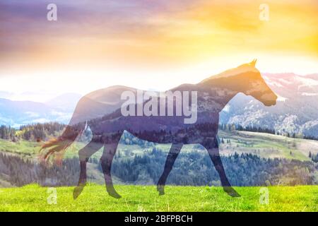 Doppia esposizione di cavallo e bellissimo paesaggio. Natura e concetto animale. Foto Stock