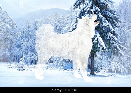 Doppia esposizione di cane e foresta invernale. Natura e concetto animale. Foto Stock