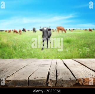 Legno asse e mucche sul prato Foto Stock