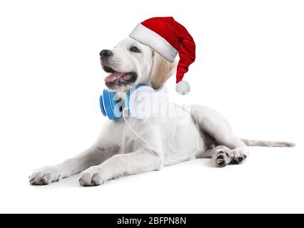 Cucciolo carino in cappello Santa e cuffie su sfondo bianco. Musica di Natale e Capodanno 2018 Foto Stock