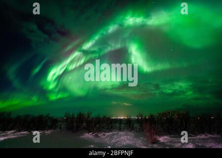 Aurora boreale o aurora boreale che mostra verde e rosa con stelle che mostrano nell'Islanda meridionale Foto Stock