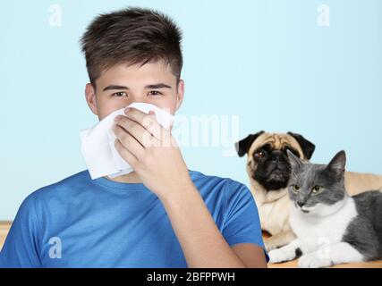 Giovane donna malata con tessuti e animali sullo sfondo. Concetto di allergia Foto Stock