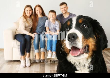 Cane e famiglia felice sullo sfondo Foto Stock