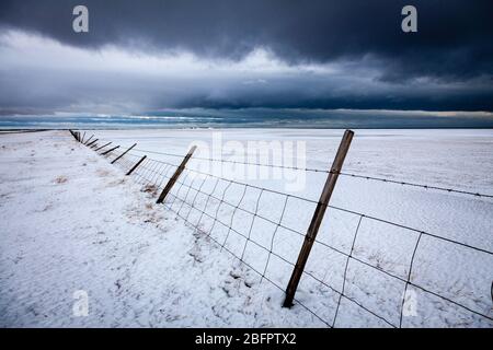 Una recinzione soffiato dal vento in un campo nevoso in inverno sulla penisola di Snaefellsness, Islanda Foto Stock