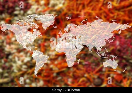 Mappa del mondo e spezie diverse sullo sfondo. Concetto logistico e all'ingrosso Foto Stock