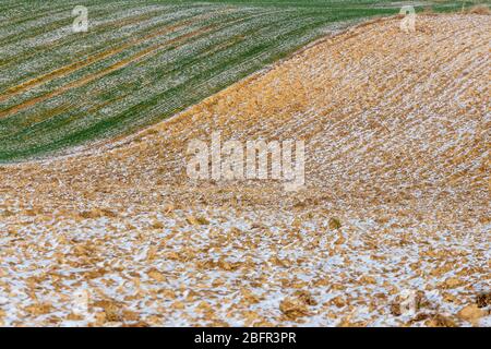 Sfondo di campo appena arato pronto per nuove colture Foto Stock