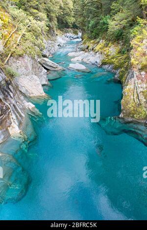 Blue Pools of Haast Pass, Parco Nazionale del Monte Aspiring, South Island, Nuova Zelanda, Foto Stock