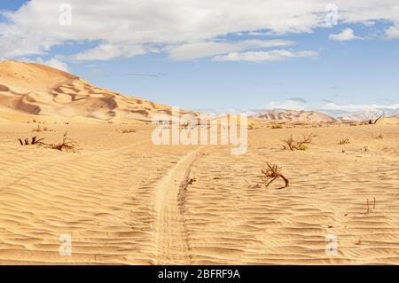 Safari in jeep fuoristrada nel bellissimo deserto di Omani Rub al-Chali Foto Stock