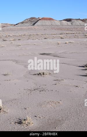 Deserto di sabbia vuoto in Arizona Foto Stock