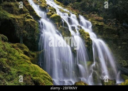 Le Upper Proxy Falls si riverserano su basalto colonnare ricoperto di muschio nella Three Sisters Wilderness e Lane County dell'Oregon. Foto Stock