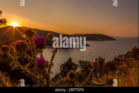 Vista al tramonto sull'arco della baia di San Felice. Gargano, Vieste, Puglia, Foggia, Italia Foto Stock