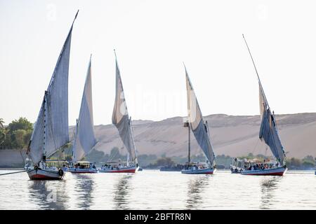 Quattro barche Felucca vela sul fiume Nilo ad Assuan, Egitto. Foto Stock