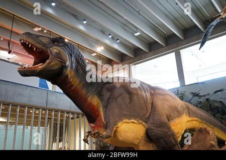 Dettagli del dinosauro T-Rex al 'Saint Louis Science Center' combina sperimentazione, creatività e attività di gioco per scoprire la tecnologia -MO,USA Foto Stock