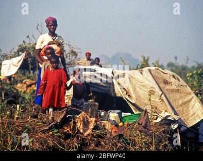 1994 - Una famiglia di Ruandesi pongono di fronte alla loro casa di fortuna. I rifugiati iscritti Goma dello Zaire dopo una guerra civile scoppiata nel loro paese. Supporto di Operazione Speranza Foto Stock