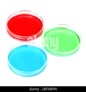 liquido colorato in capsule di petri isolato su bianco Foto Stock