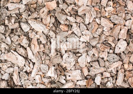 Terra coperta con pacciame composto frammento come una trama. Foto Stock