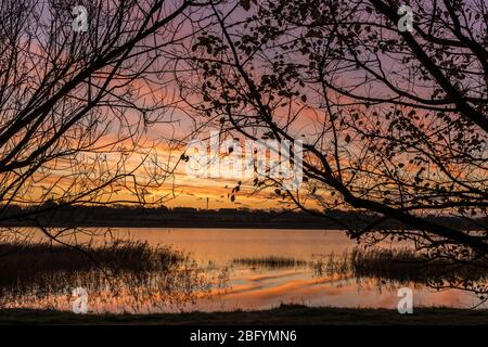 Alba all'Isola di nostra Signora Wexford. Foto Stock