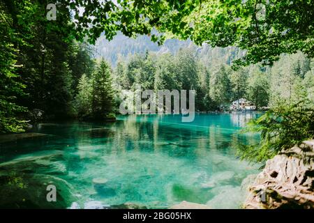 lago blu in svizzera. Svizzera, Blausee. Bellissimo lago nella foresta. Foto Stock