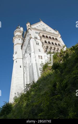 Il Castello di Neuschwanstein, Schwangau bei Füssen, Svevia, Baviera, Germania, Europa Foto Stock