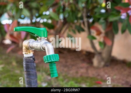 Primo piano di un rubinetto d'acqua in un giardino in casa in una giornata di primavera Foto Stock