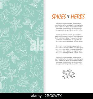Banner spezie ed erbe - sfondo di erbe culinarie e medicinali disegnate a mano. Illustrazione vettoriale Illustrazione Vettoriale