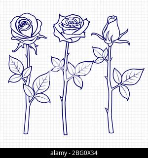 Disegno a mano rose fiori sulla pagina notebook. Illustrazione vettoriale Illustrazione Vettoriale