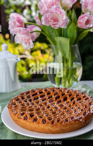 Torta di ciliegie con graticcio di Limburgo, Olanda, servita in giardino soleggiato Foto Stock