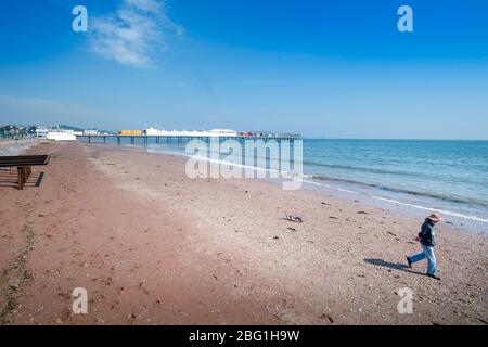 Un uomo cammina i suoi cani sulla spiaggia deserta vicino a Paignton durante il blocco di Coronavirus, Regno Unito Foto Stock