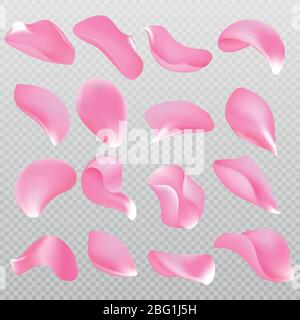Collezione vettoriale isolata di petali rosa 3D sparsi. Illustrazione del petalo rosa fiore Illustrazione Vettoriale