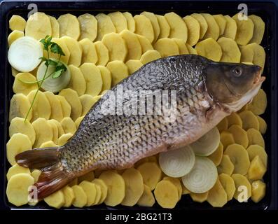 Carpa cruda, pesce intero con patate a fette su vassoio su sfondo blu. Piatti tradizionali europei Foto Stock