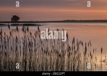 Luce serale a Our Lady's Island Wexford Ireland Foto Stock