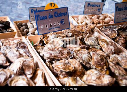 Mules de Claires oyster a Montmartre, Parigi, Francia. Foto Stock