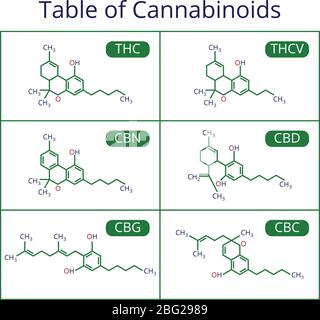Formula cbd scheletrica di cannabis. Set di vettori di molecole di marijuana. Formula di cannabis molecolare, struttura chimica illustrazione cannabinoidi Illustrazione Vettoriale
