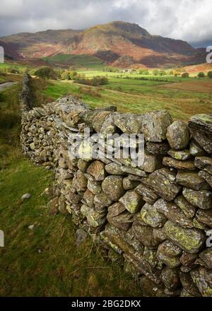 Primo piano di un vecchio muro di pietra coperto di licheni a Little Langdale nel Lake District, Cumbria, Regno Unito Foto Stock