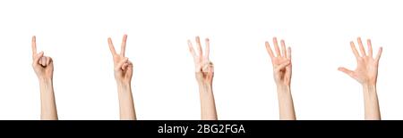 Mani femminili a contare da uno a cinque isolati su sfondo bianco Foto Stock