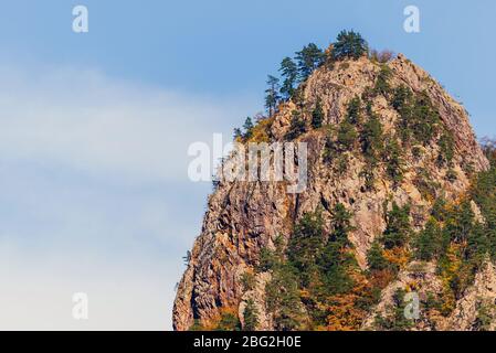 Autunno foresta, molti alberi sulla montagna in giorno di sole. Russia, Adygea Foto Stock