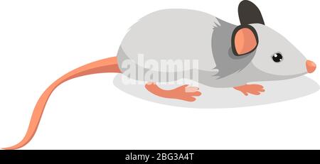 Mouse bianco, illustrazione, vettore su sfondo bianco Illustrazione Vettoriale