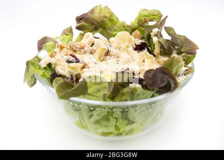 Insalata di mele Waldorf, uvetta di noci, lattuga e maionese Foto Stock