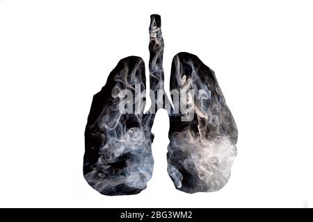 Illustrazione di una formazione di fumo tossico a forma di polmone umano, il concetto di sigaretta fumatore polmoni su sfondo bianco Foto Stock