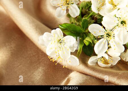 Rami fioriti in banchi di vetro su sfondo di tessuto beige Foto Stock