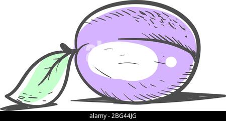 Disegno Plum, illustrazione, vettore su sfondo bianco. Illustrazione Vettoriale
