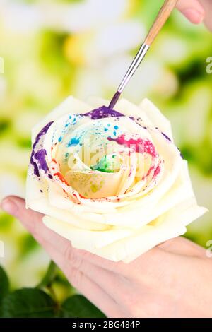 Le mani femminili tengono il fiore bianco e lo dipingono con i colori, su sfondo luminoso Foto Stock