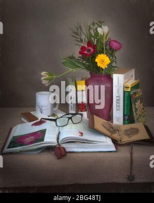 Libri sull'identificazione delle piante su una scrivania decorata con fiori - botanico amatoriale vintage o Gardner concetto Foto Stock