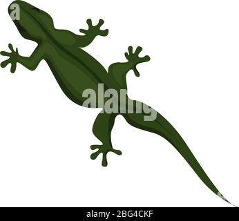 Lucertola verde, illustrazione, vettore su sfondo bianco Illustrazione Vettoriale