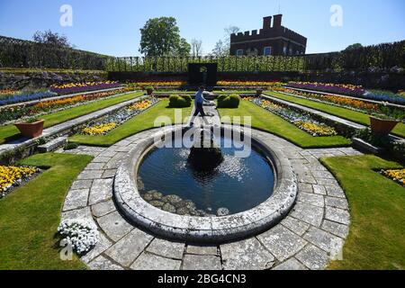 Il responsabile operativo di Gardens and Estates Graham Dillamore cammina nel giardino dello stagno all'Hampton Court Palace, nel sud-ovest di Londra, che è stato temporaneamente chiuso mentre il Regno Unito rimane in blocco durante la pandemia di coronavirus. Foto Stock