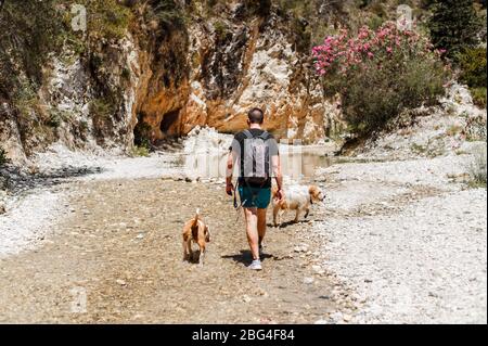 Giovane uomo che fa trekking con i suoi cani Foto Stock