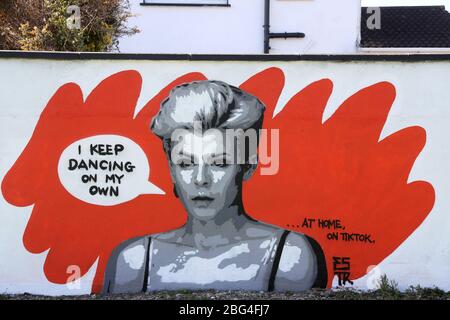 Un murale di Robyn, cantautore di Emmalene Blake, artista irlandese, a South Dublin. L'artista di Dublino ha creato una serie di murales per incoraggiare la gente a rispettare le regole di distanza sociale che caratterizzano artisti come Dua Lipa, Robyn e Cardi B. Foto Stock