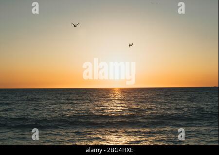 Due uccelli che volano sull'Oceano Pacifico mentre il sole tramonta sull'acqua in Messico Foto Stock