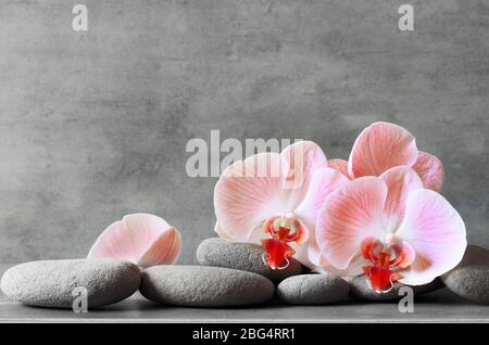 Pietre termali su sfondo grigio con orchidee. Concetto di Spa. Foto Stock